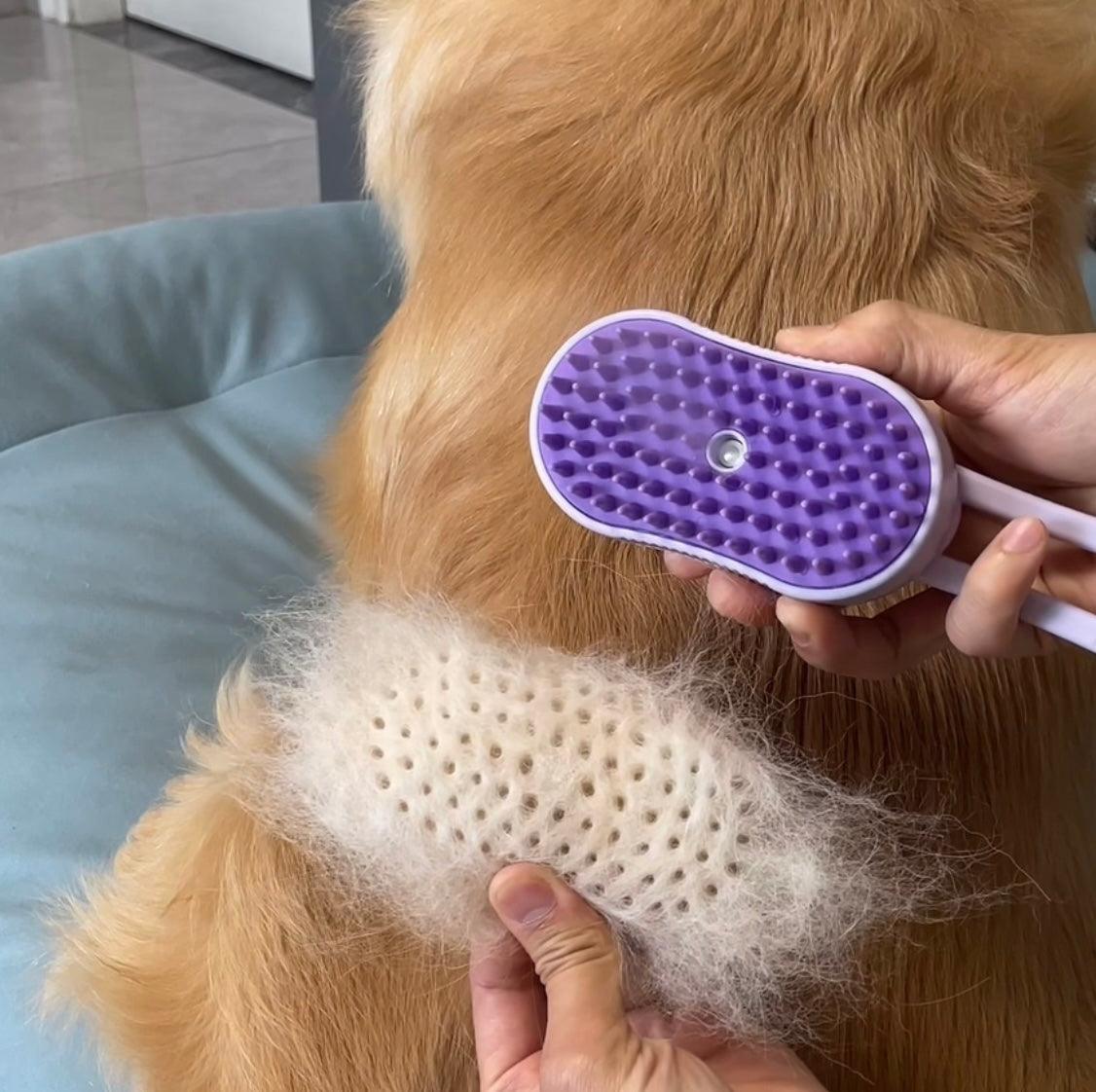 3In1 Water Dog Brush - Onlypethappy