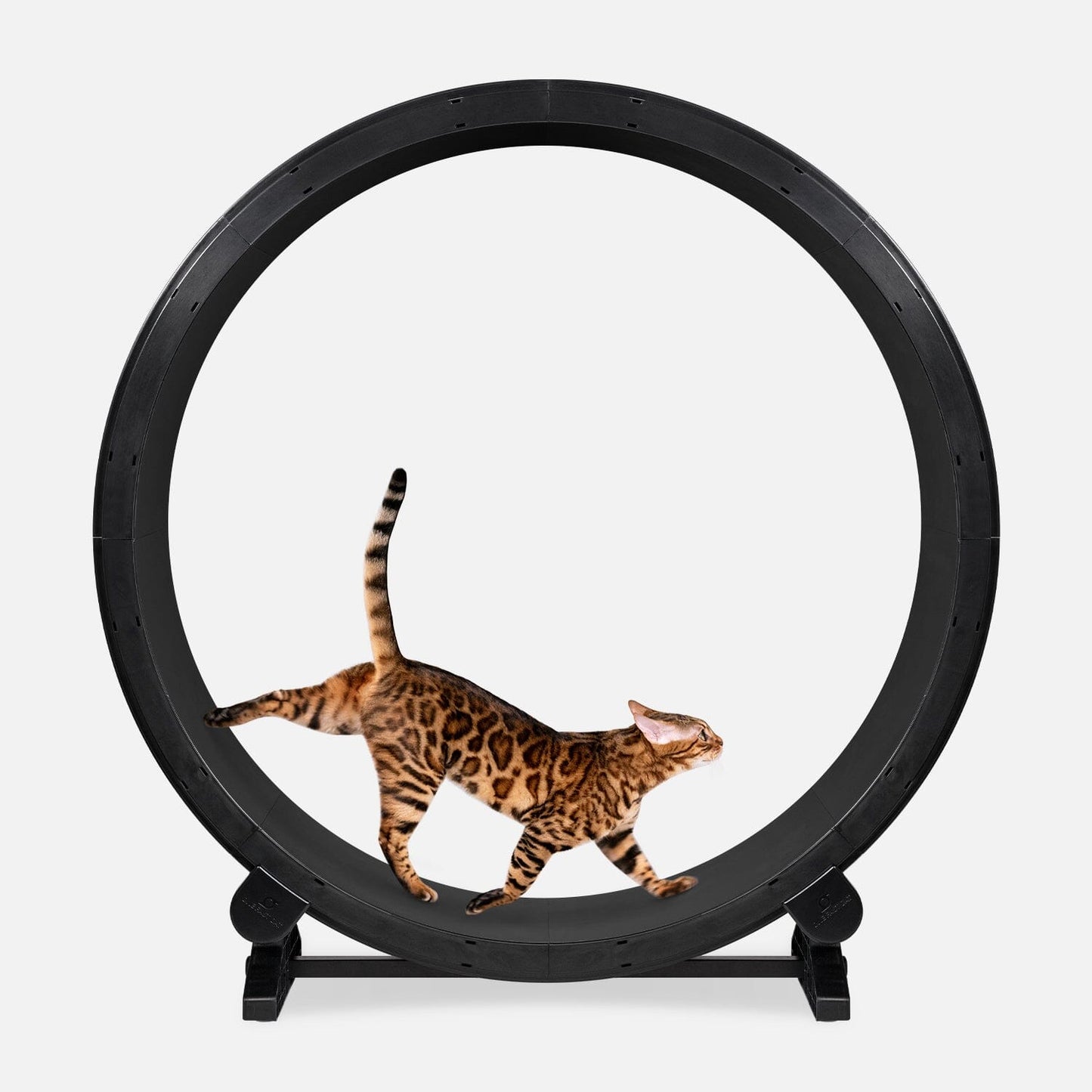 Cat Exercise Wheel