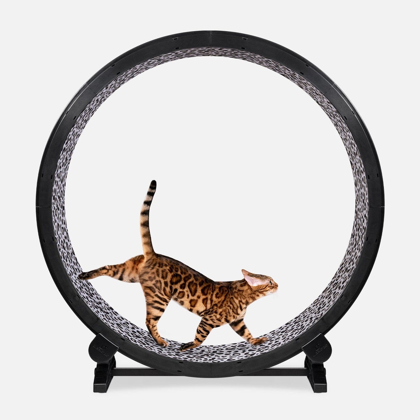 Cat Exercise Wheel