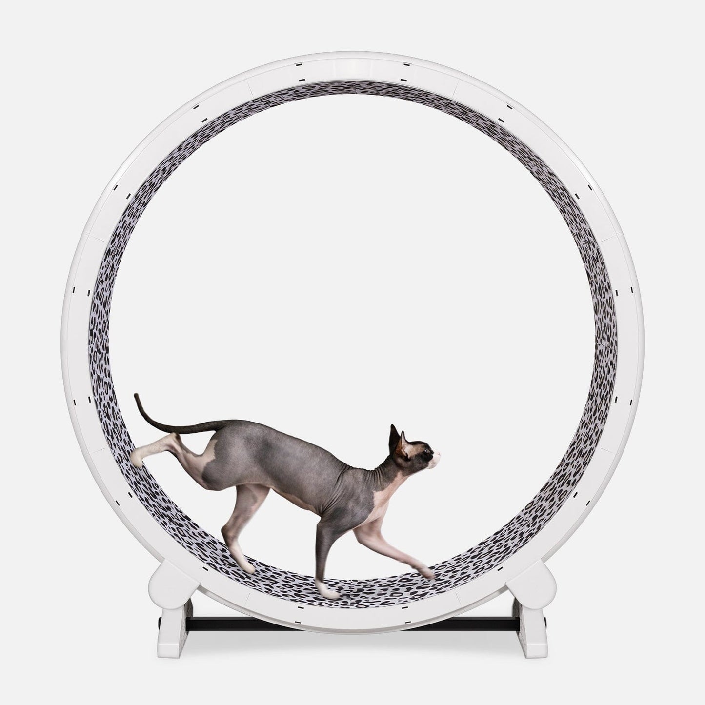 Cat Exercise Wheel