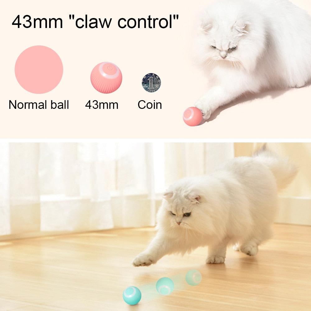 Automatic Cat Ball - Onlypethappy