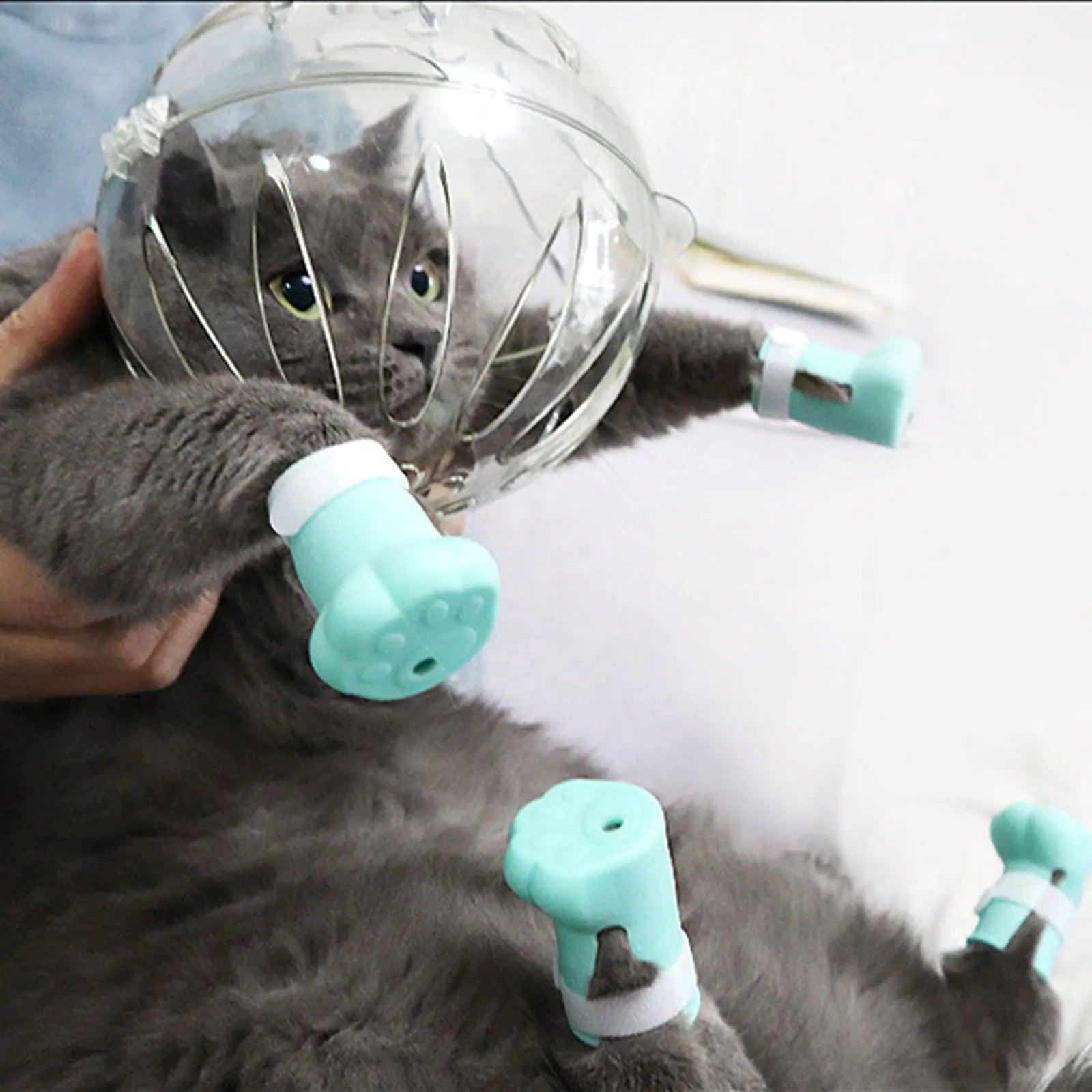 Breathable Cat Helmet - Onlypethappy