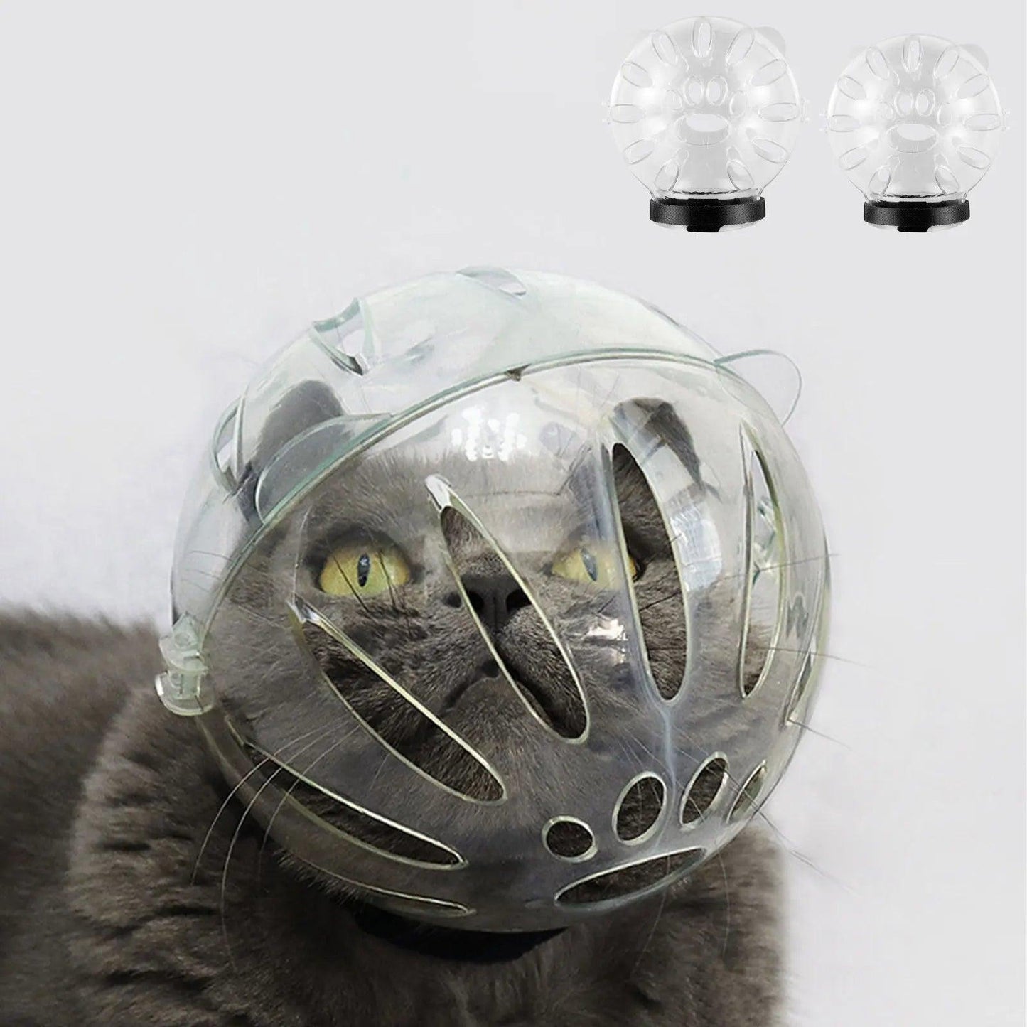 Breathable Cat Helmet - Onlypethappy