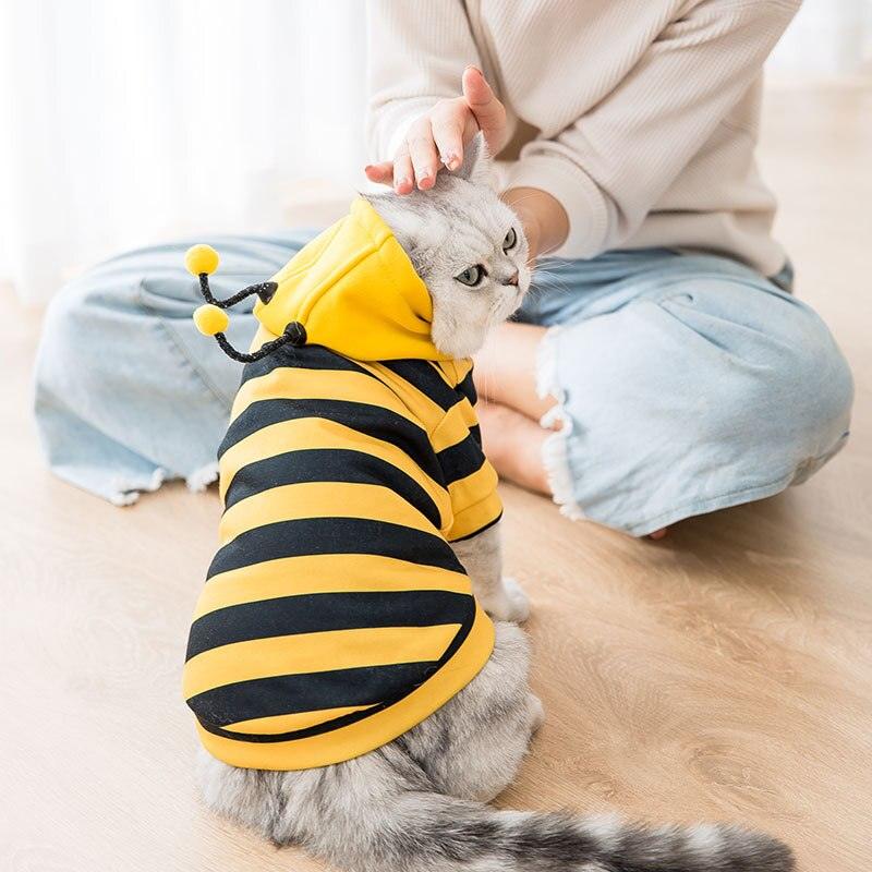 Cat Bee Costume - Onlypethappy