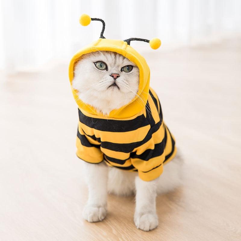 Cat Bee Costume - Onlypethappy