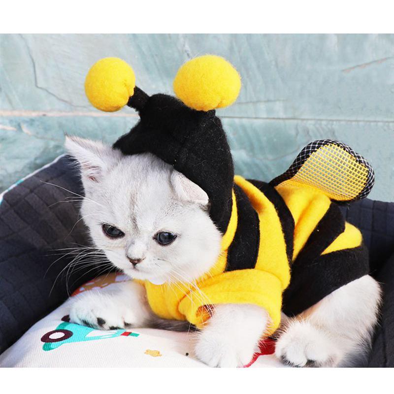 Cat Bee Costume - Onlypethappy