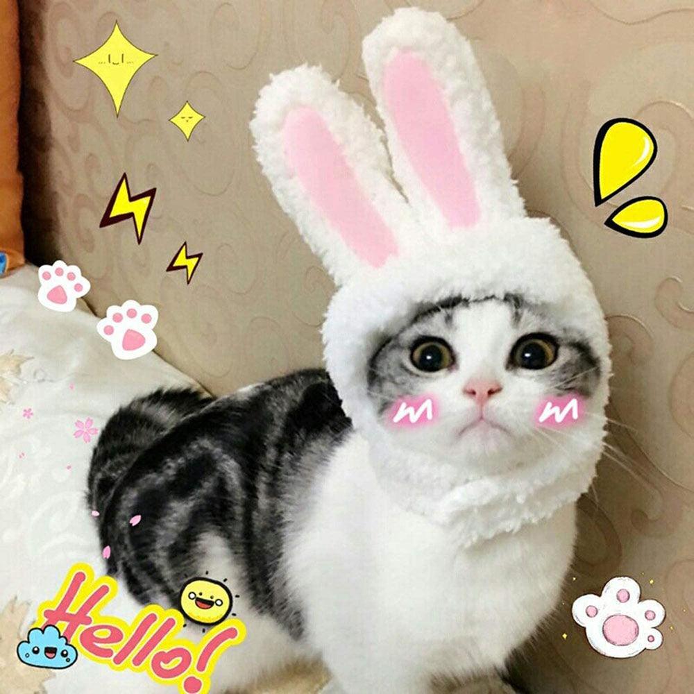 Cat Bunny Ears - Onlypethappy