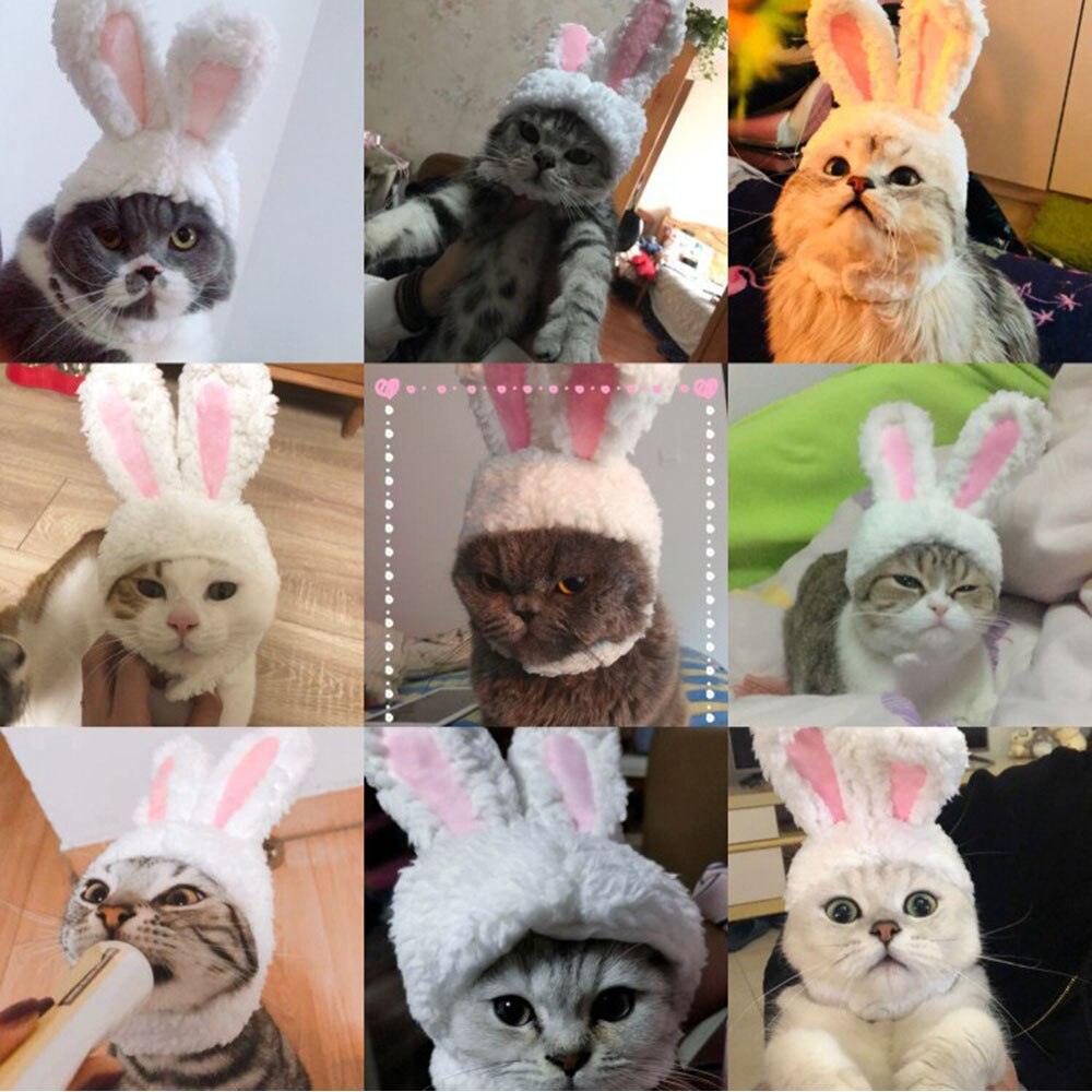 Cat Bunny Ears - Onlypethappy