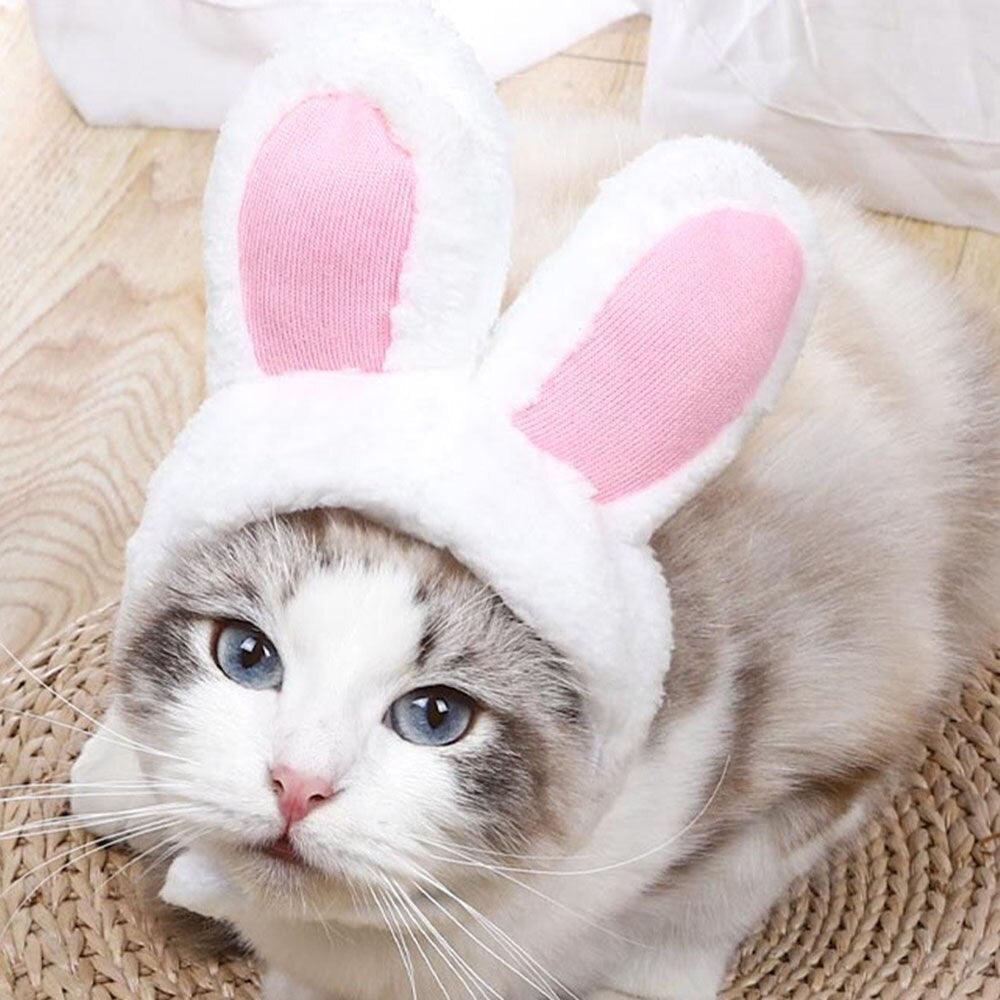 Cat Bunny Ears - Onlypethappy