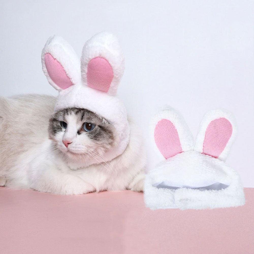 Cat Bunny Ears - Onlypethappy