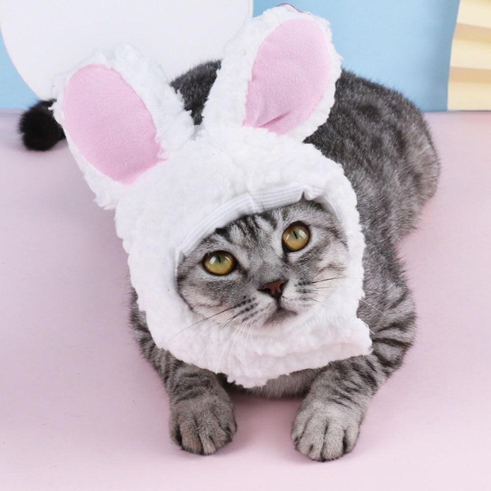 Cat Bunny Ears - Onlypethappy