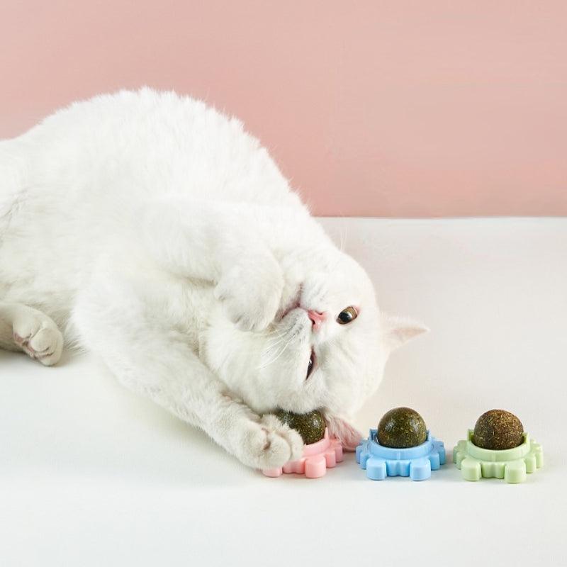 Catnip Ball - Onlypethappy