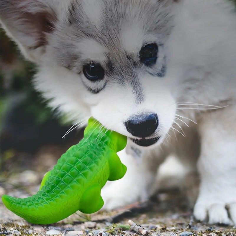 Crocodile Squeaky Toy - Onlypethappy