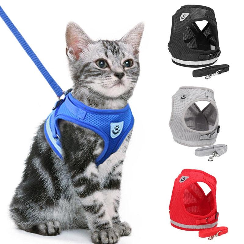 Dog/Cat Walking Harness With Leash - Onlypethappy