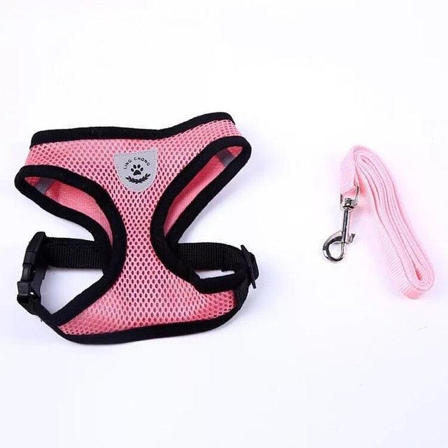 Dog/Cat Walking Harness With Leash - Onlypethappy