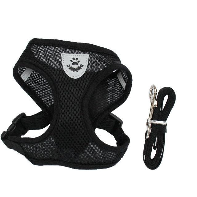 Dog/Cat Walking Harness With Leash - Onlypethappy