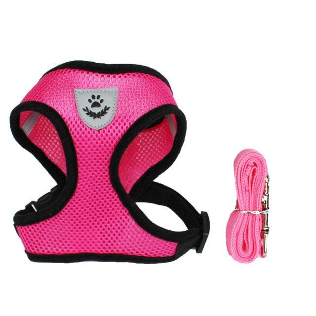 Dog/Cat Walking Harness With Leash - Onlypethappy