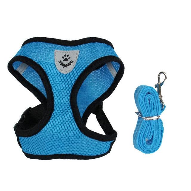 Dog/Cat Walking Harness With Leash - Onlypethappy