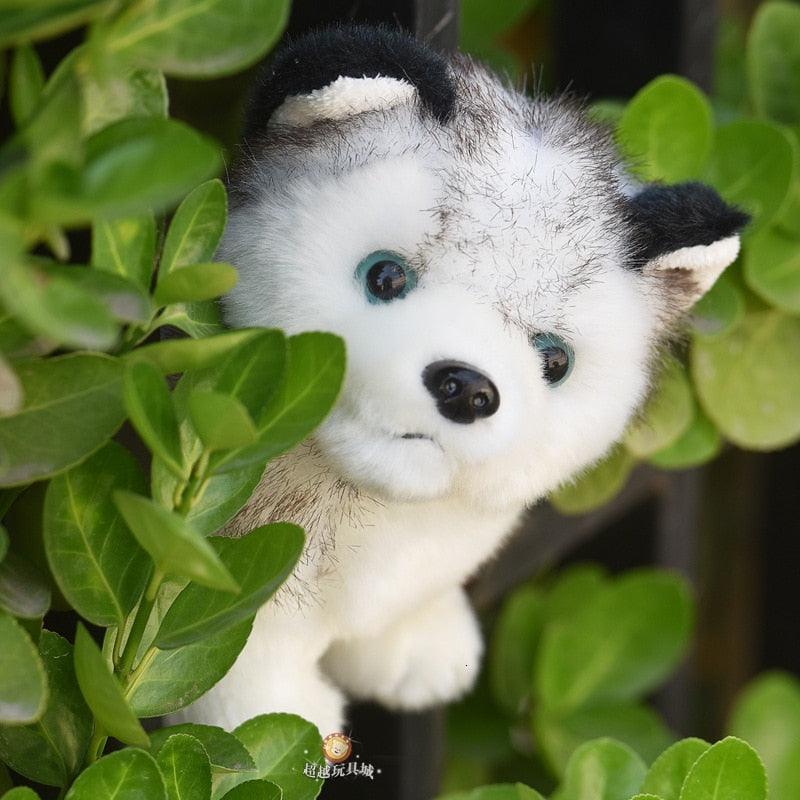 Husky Plush - Onlypethappy