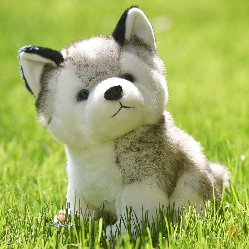 Husky Plush - Onlypethappy