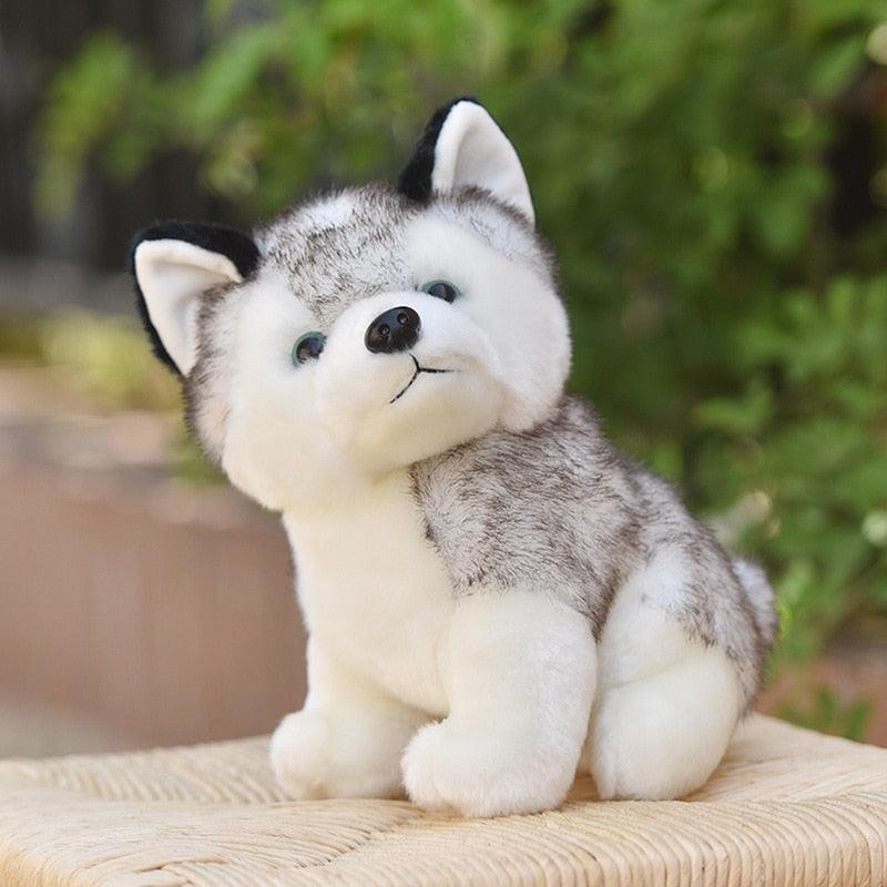 Husky Plush - Onlypethappy