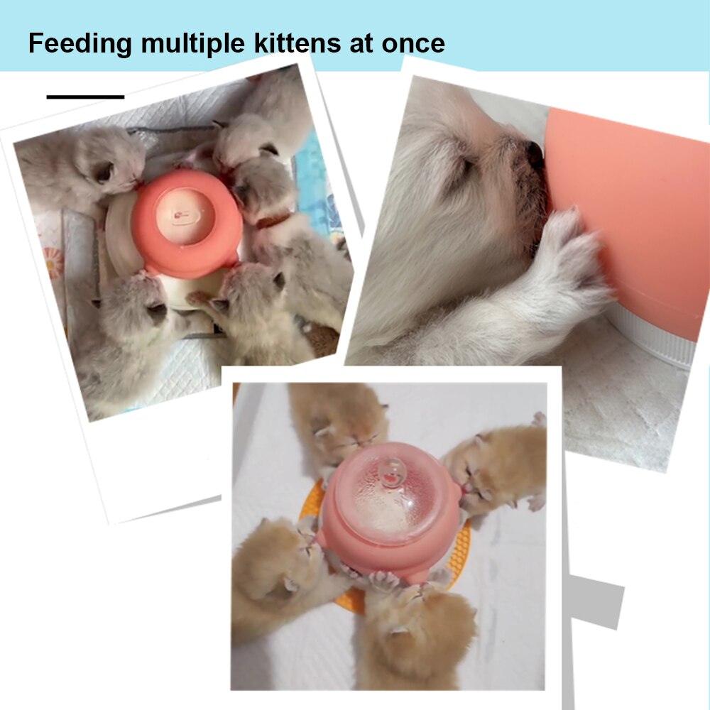 Kitten Milk Feeder - Onlypethappy