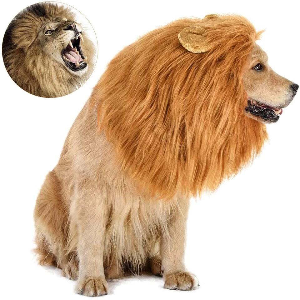 Lion Wig - Onlypethappy