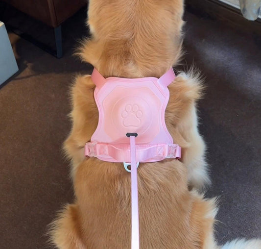 NEW 2 in 1 – Dog Harness - Onlypethappy