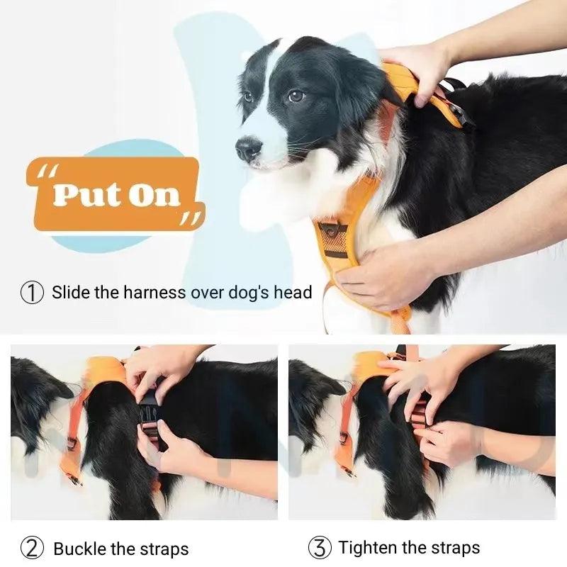 NEW 2 in 1 – Dog Harness - Onlypethappy