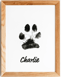 Paw Print Stamp - Onlypethappy