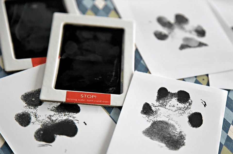 Paw Print Stamp - Onlypethappy