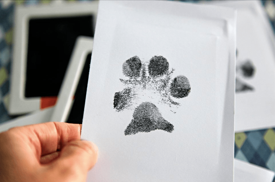 Paw Print Stamp - Onlypethappy