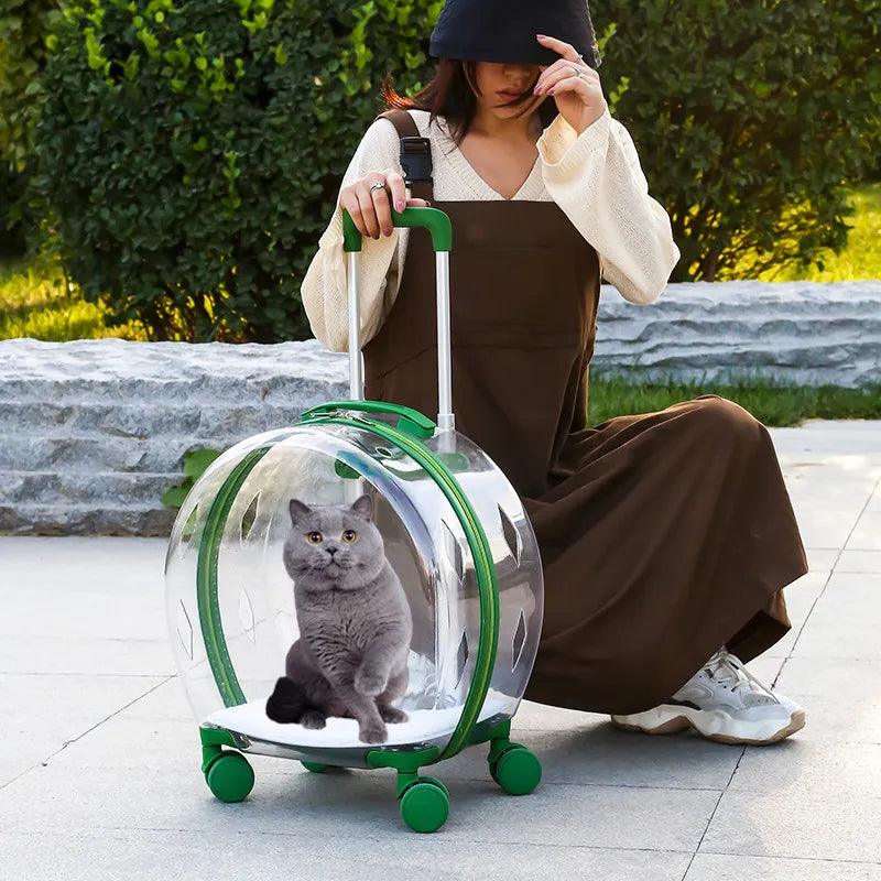 Transparent Pet Suitcase - Onlypethappy