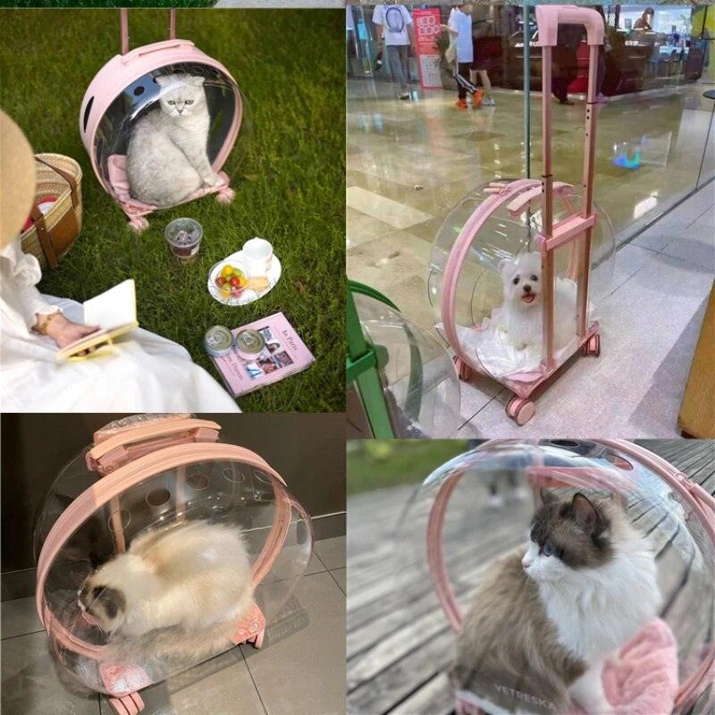 Transparent Pet Suitcase - Onlypethappy