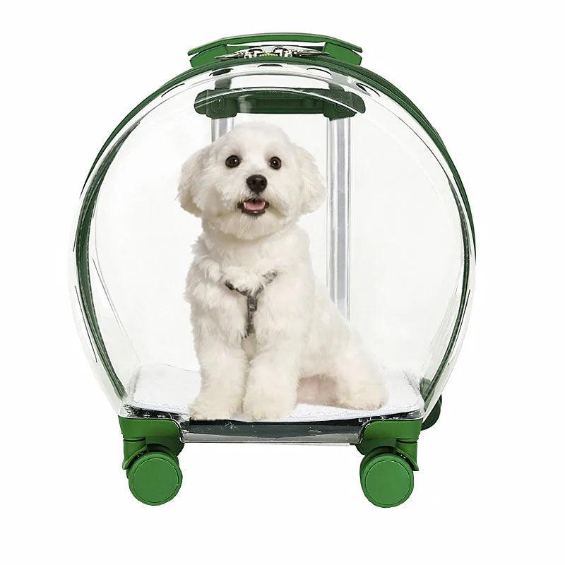 Transparent Pet Suitcase - Onlypethappy