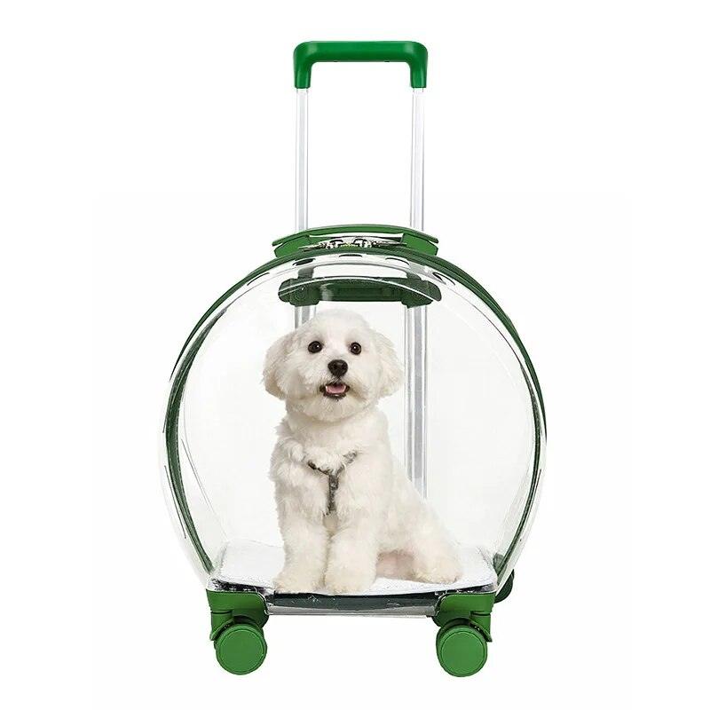 Transparent Pet Suitcase - Onlypethappy