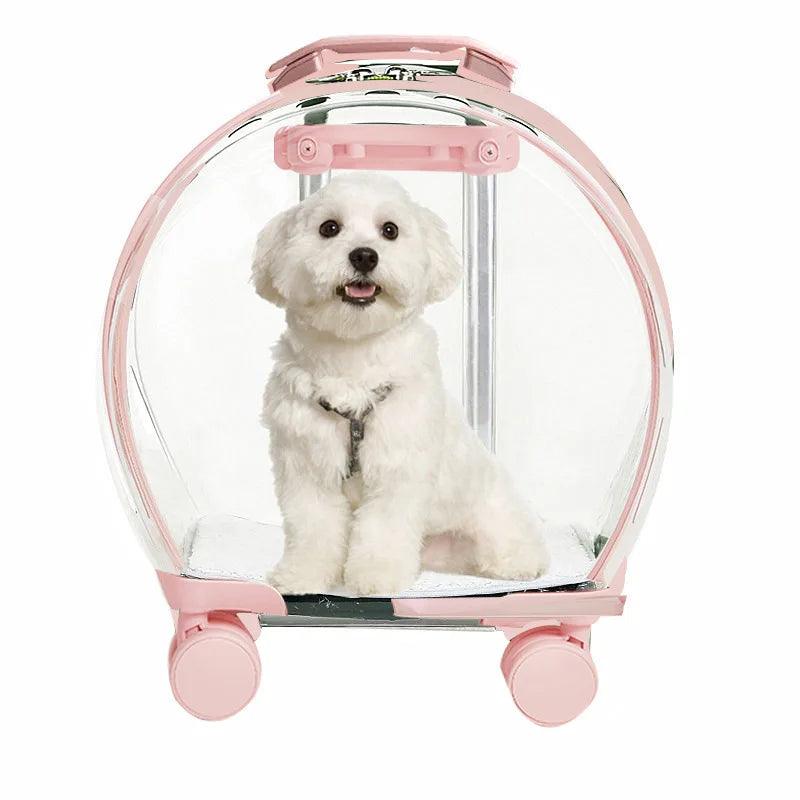 Transparent Pet Suitcase - Onlypethappy