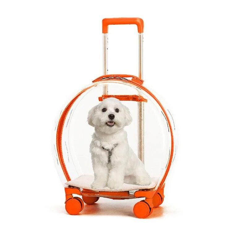 Transparent Pet Suitcase - Onlypethappy